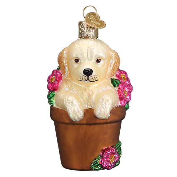 Puppy In Flower Pot
