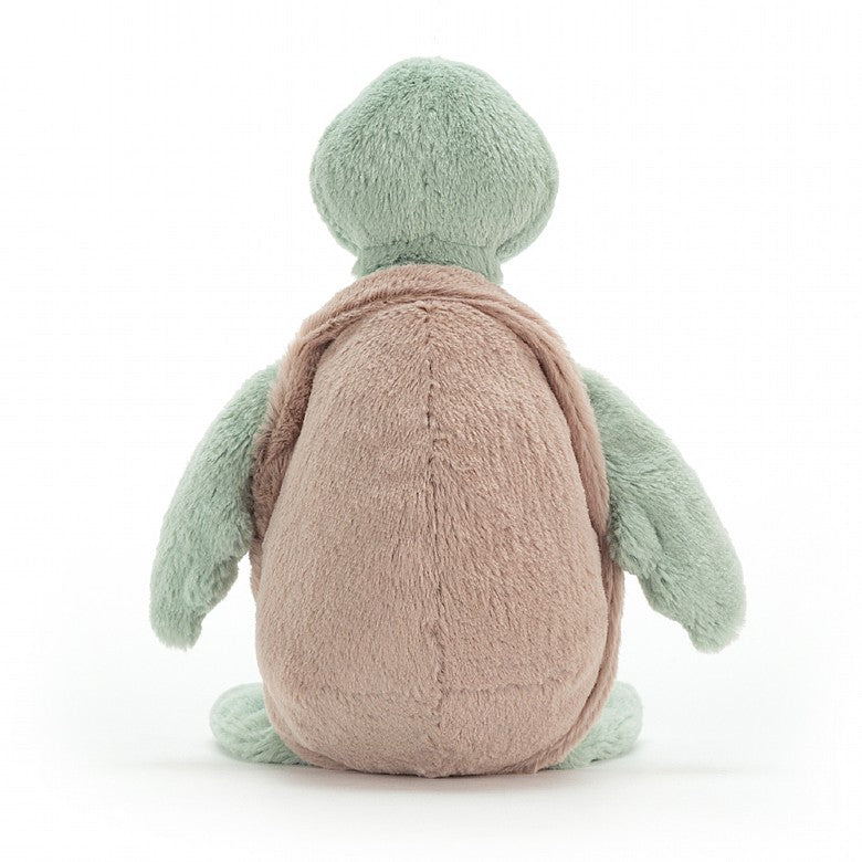 Bashful Turtle