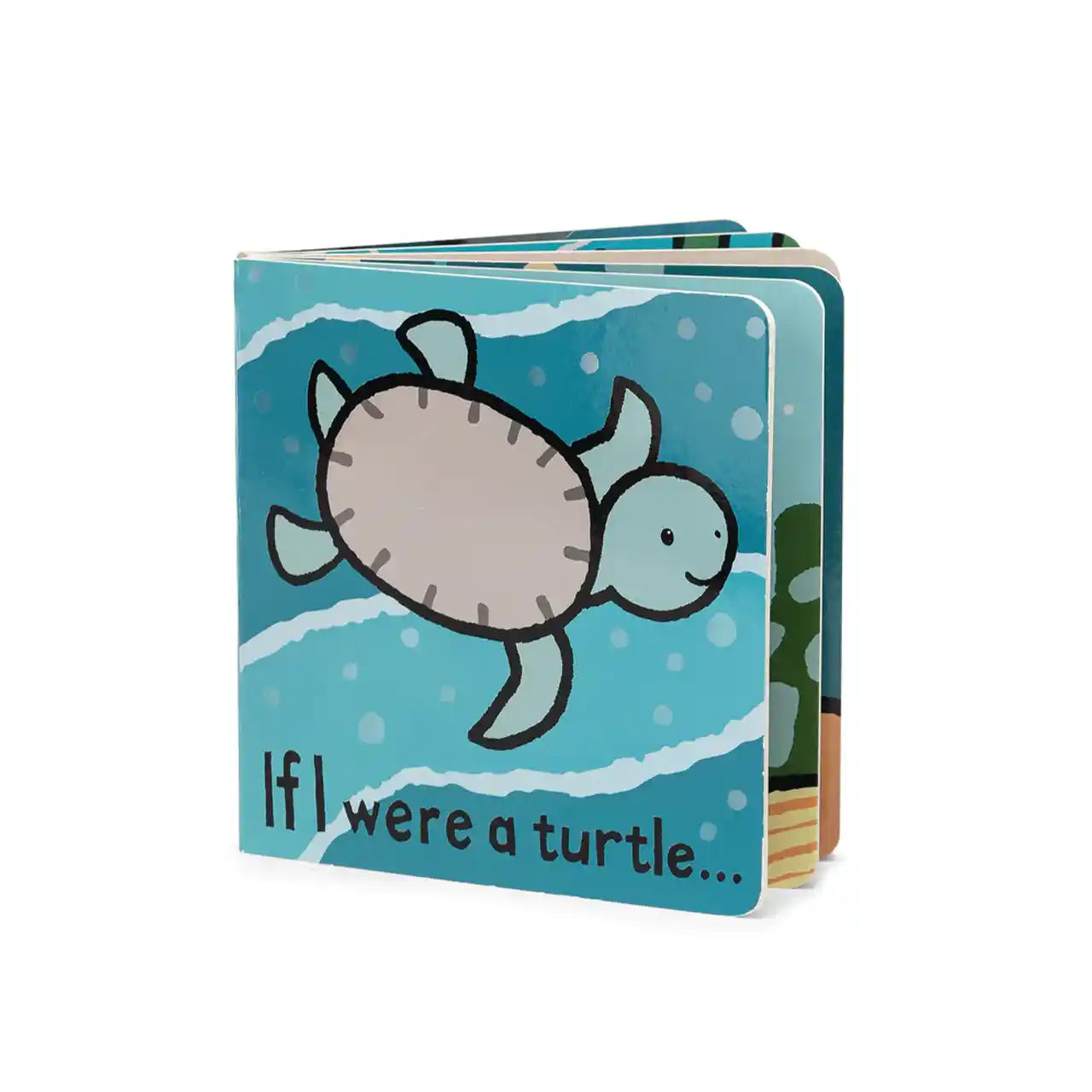 If I Were A Turtle Book